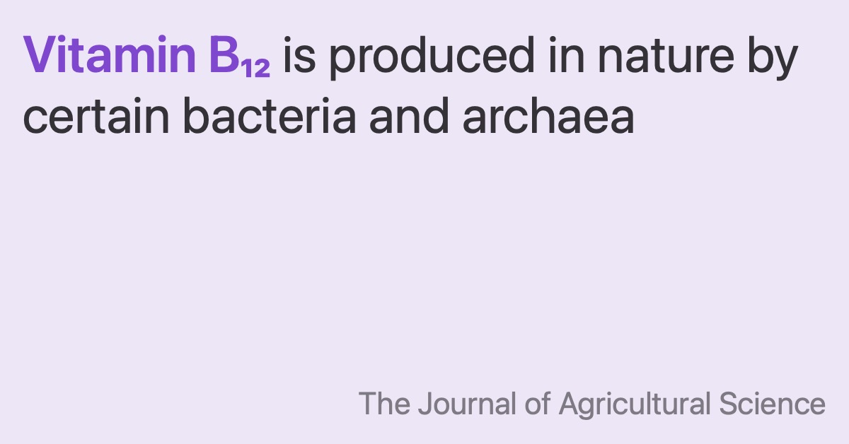 Vitamin B12 is produced in nature by certain bacteria, and archaea